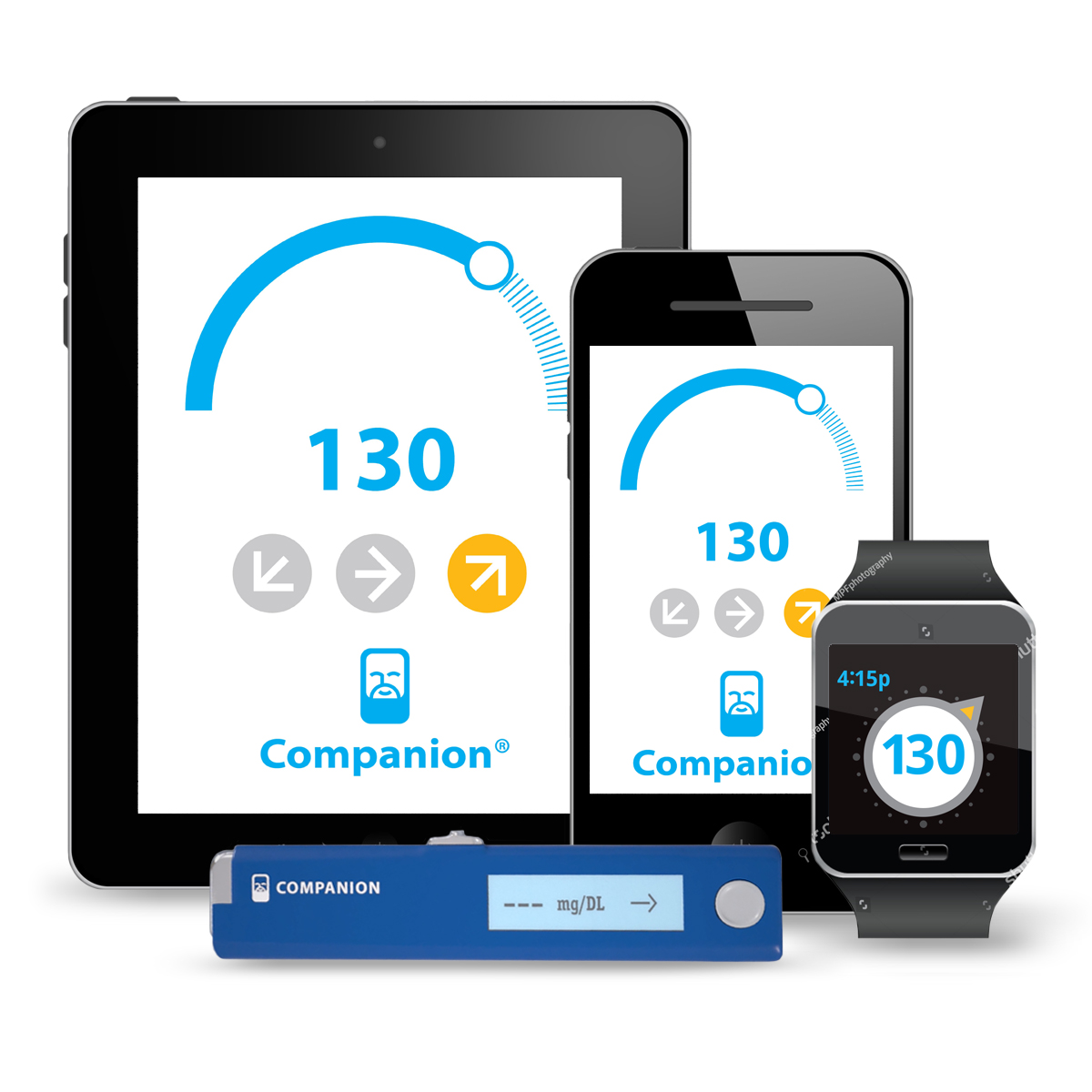 Meet Companion Socrates Health Solutions